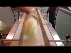 De horizontale Machine van het Stroompak