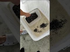 Bekijk: LC-M4H Graankleur sorteermachine Mineralen CCD Kleur sorteermachine Showcase