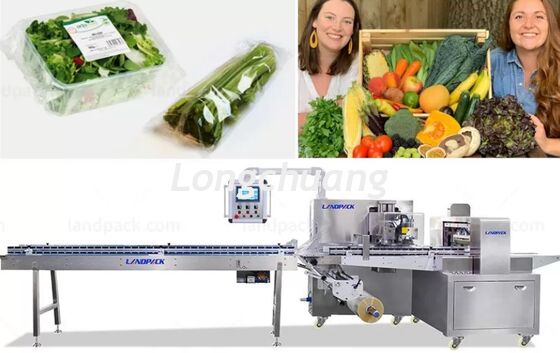 Grilled Skewers Automatic Flow Packing Machine Flow Wrap Horizontal Machine Featuring Bag Width 120/450mm Ideal For bread flow packing machine